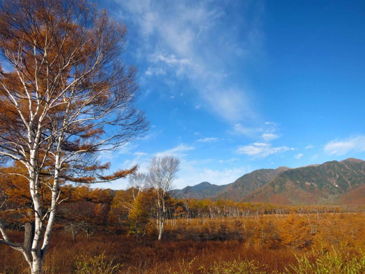 Okunikko Park Lodge Miyama Εξωτερικό φωτογραφία